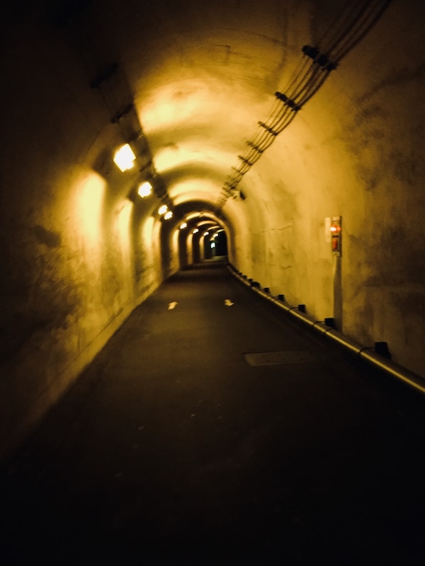 The Kiyotsu Gorge Tunnel