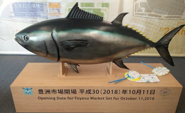 The Fish Wholesale Market