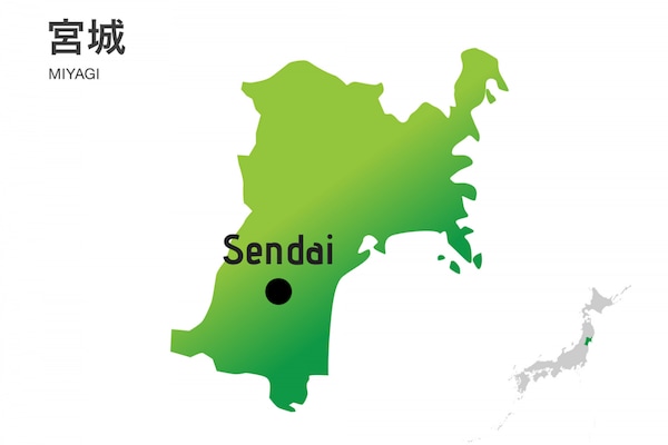 Key Sendai Facts