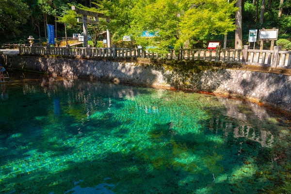 6. สระน้ำเบปปุเบ็นเท็น (Beppu Benten Pond)