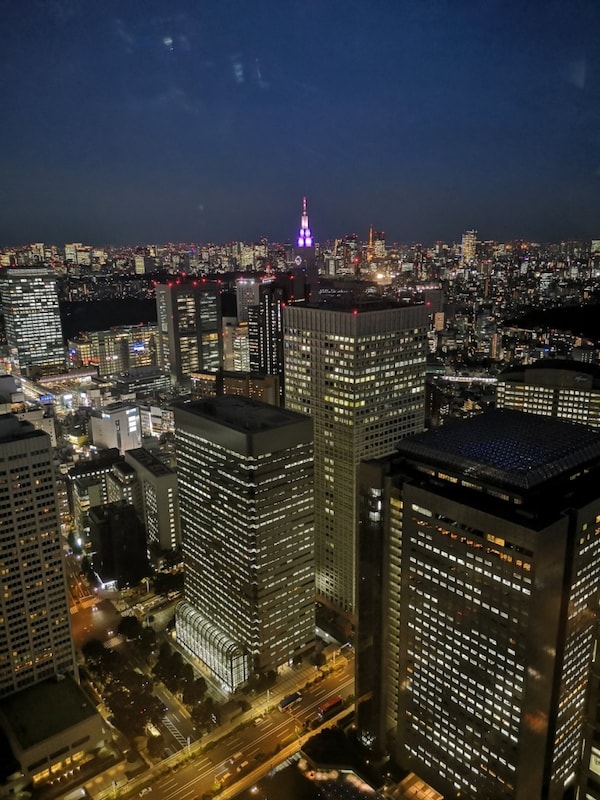 13. Tokyo Metropolitan Government Building Observation Decks (Shinjuku-ku, Tokyo)