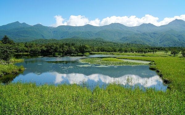 5. อุทยานแห่งชาติชิเรโทโกะ จังหวัดฮอกไกโด (Shiretoko National Park, Hokkaido)