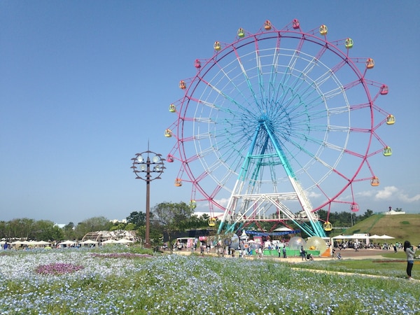 1. สวนอุมิโนะนากะมิชิ ซีไซด์ ปาร์ค จังหวัดฟุกุโอกะ (Uminonakamichi Seaside Park, Fukuoka)