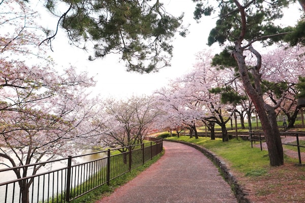 5. สวนสึรุมิ เรียวคุจิ(Tsurumi Ryokuchi Park)