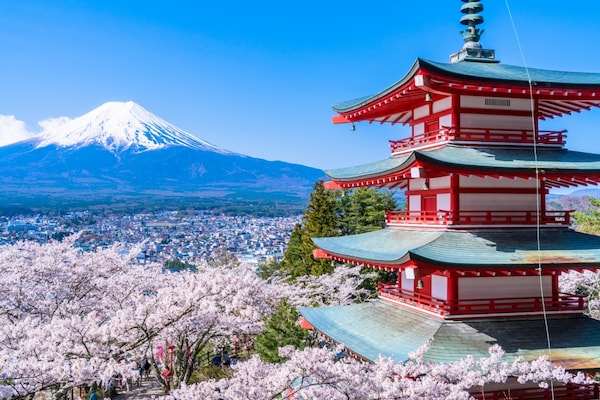 2019日本各地櫻花開花與滿開時期預測