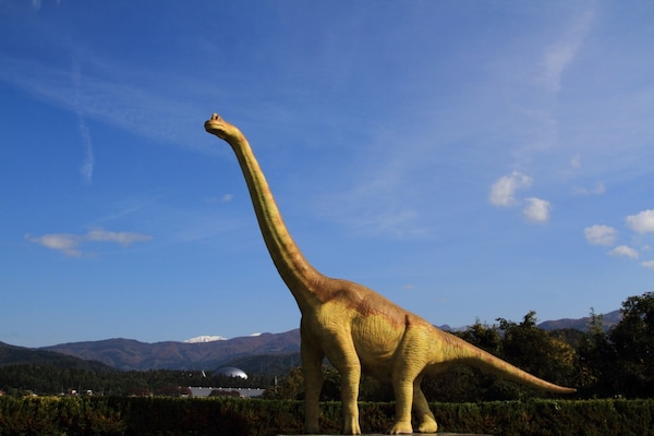 1. พิพิธภัณฑ์ไดโนเสาร์แห่งจังหวัดฟุคุอิ (Fukui Prefectural Dinosaur Museum)
