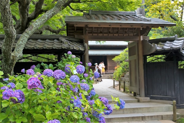 漫步鎌倉古城，尋找寺廟或美術館
