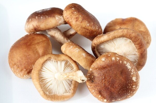 Hoshi Shiitake (Dried Shiitake Mushrooms)
