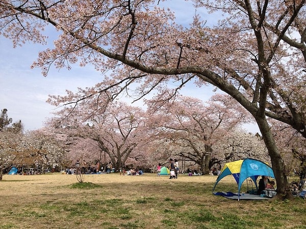 สวนมิกามิเนะ (Mikamine Park)