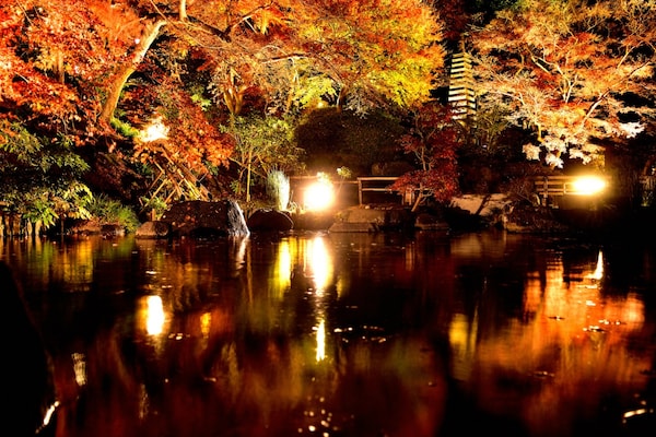 鎌倉花寺唯一的紅葉燈火「長谷寺」