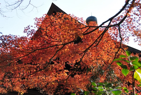 聞名遐邇的鎌倉賞楓景點「瑞泉寺」