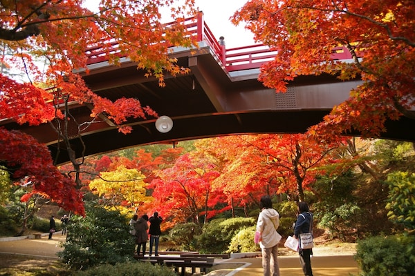 6. สวนยาฮิโกะ จังหวัดนีงาตะ (Yahiko Koen Momiji Dani, Niigata)