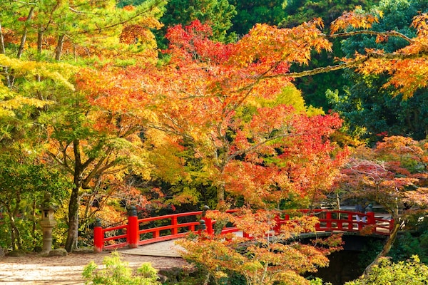 14. สวนสาธารณะโมมิจิดานิ เกาะมิยาจิมะ จังหวัดฮิโรชิมา (Momijidani Park in Miyajima, Hiroshima)