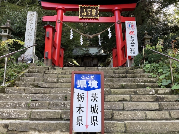 祈求金運與幸運的貓頭鷹神社「鷲子山神社」