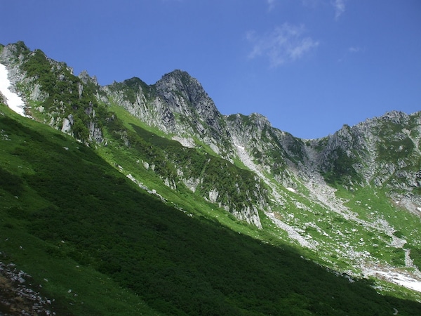 9. Admire the stunning alpine wildflowers at Central Alps Senjojiki Cirque