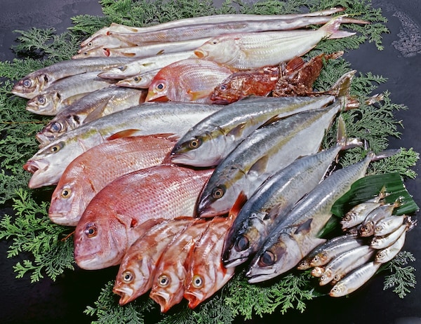 日本"鱼"文化