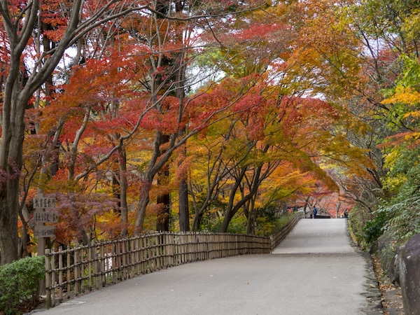 3. สวนพฤกษศาสตร์ฮิกาชิยามะ จ.ไอจิ (Higashiyama Zoo and Botanical Gardens, Aichi)