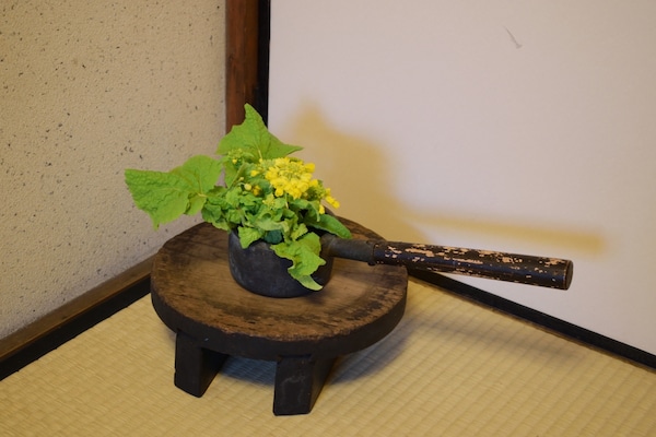 日本花道歷史：從唐朝供花文化所演化而來的傳統技藝