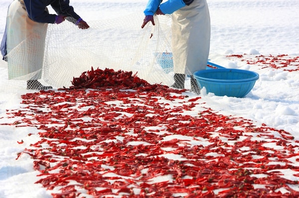 Kanzuri: Red Pepper Fermented in Snow from Myoko