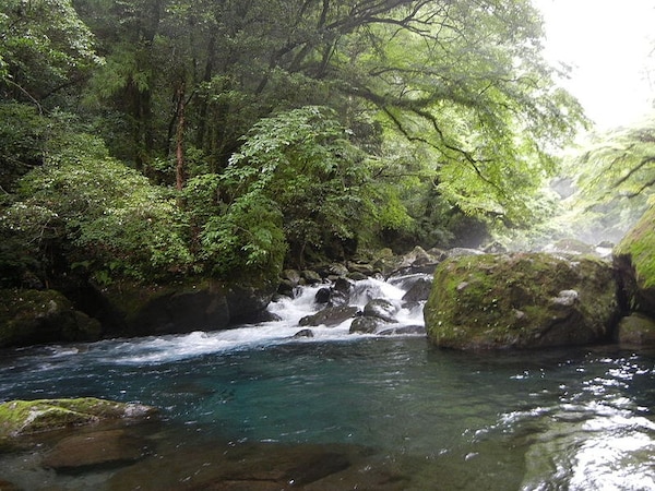 1. Kikuchi Valley