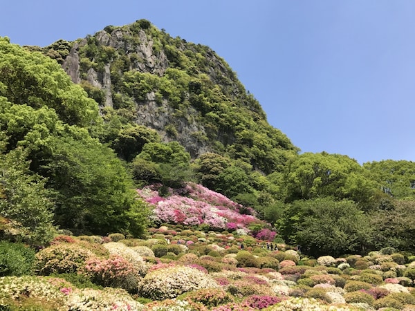 6. สวนมิฟุเนะยามะราคุเอ็น จังหวัดซากะ (Mifuneyama Rakuen Garden, Saga)