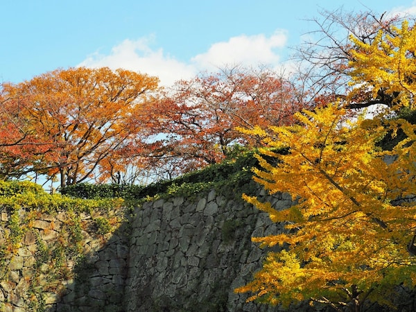 9. สวนไมซุรุและซากปราสาทฟุกุโอกะ จังหวัดฟุกุโอกะ (Maizuru Park and Ruins of Fukuoka Castle, Fukuoka)