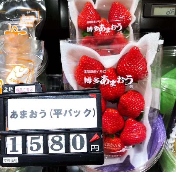 日本的水果真的貴！？