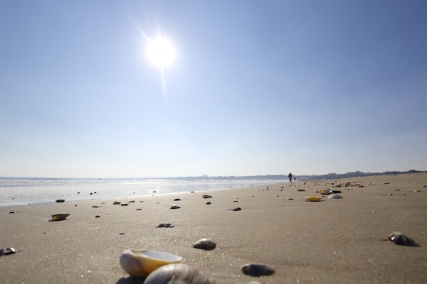 可撿拾蚌殼與進行海上活動的「大洗陽光海水浴場」
