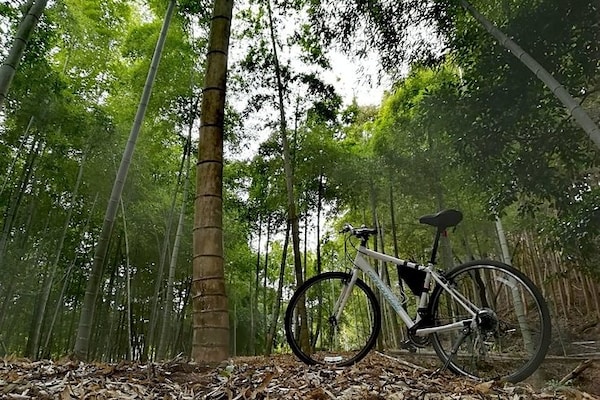 5. Arashiyama bamboo bike tour