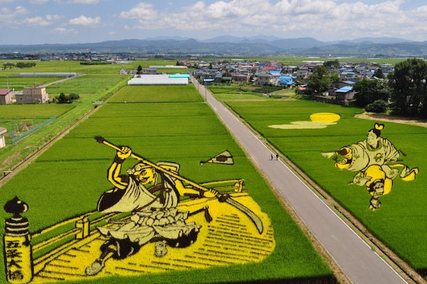 3. ไปชมงานศิลปะบนนาข้าวที่เมืองอินะคะดาเตะ จ.อาโอโมริ (Rice Paddy Art in inakadate, Aomori)