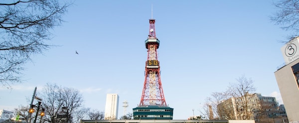 20. Get a bird's-eye view of the city from Sapporo TV Tower