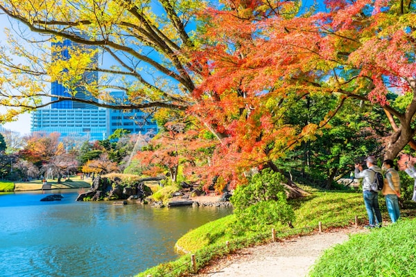 1. สวนโคอิชิคาวะ โคระคุเอ็น มหานครโตเกียว (Koishikawa Korakuen Garden, Tokyo)