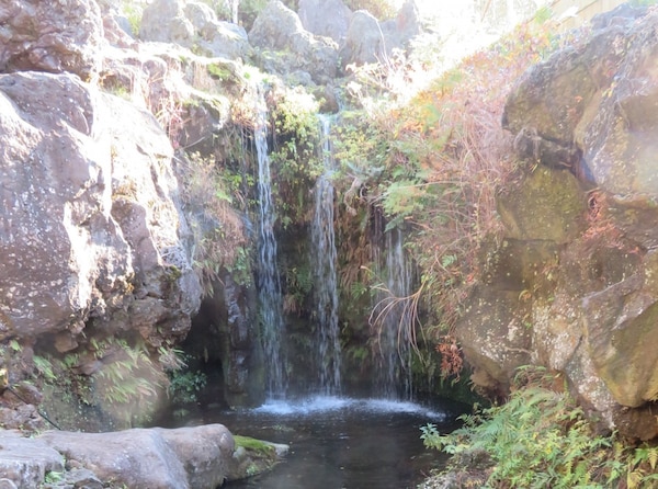 "Meihodo has its own waterfall for ritual purification purposes."