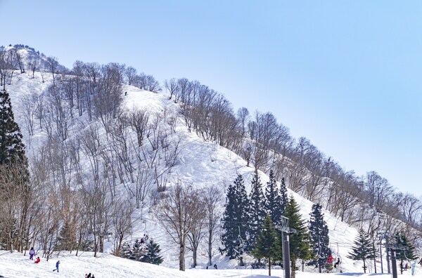 新潟县：汤泽中里滑雪场