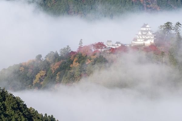 6. ปราสาทกุโจฮาจิมัง จังหวัดกิฟุ (Gujo Hachiman Castle, Gifu)