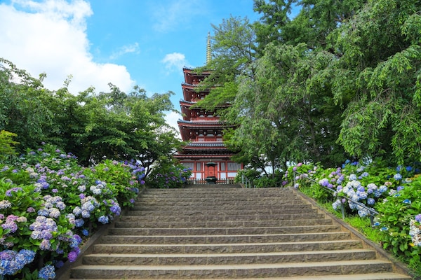 วัดฮอนโดจิ (Hondoji Temple) กับความงามของดอกไม้