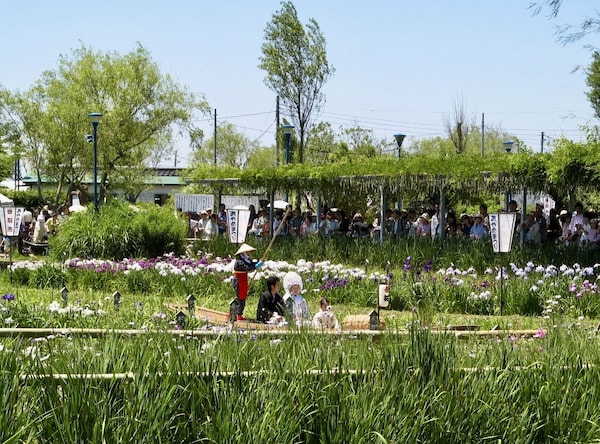Blossoms and Floats: Sawara's Botanical Park and Annual Festival