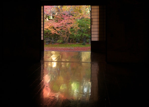 鮮明艷麗的楓紅地板「實相院」