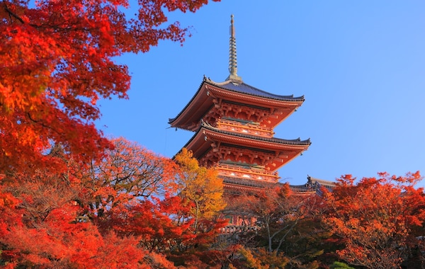 1. Kiyomizu-dera Temple (East Kyoto)