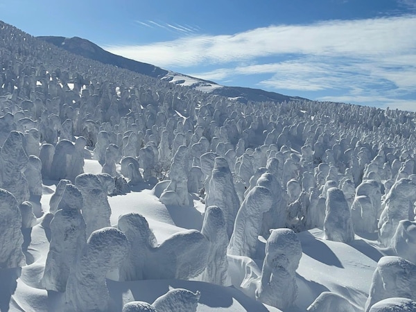 Visiting the Snow Monsters: Zao Onsen, Yamagata