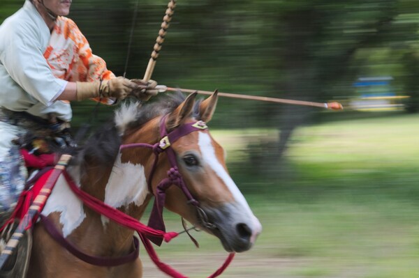 The Thrill of Horseback Archery