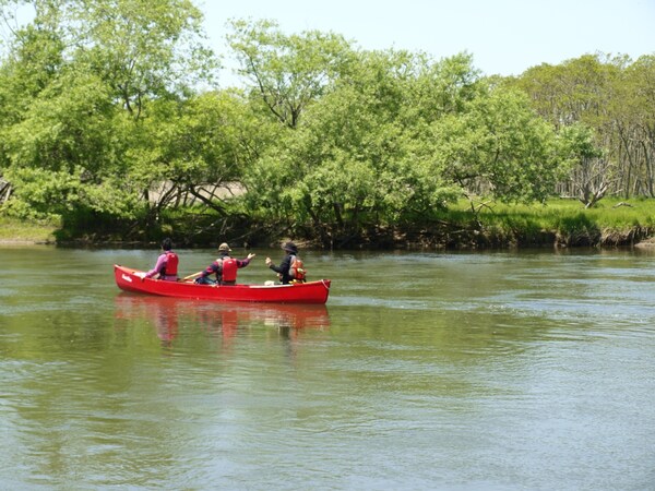 15. ลองเรือแม่น้ำคุชิโระ จังหวัดฮอกไกโด (Kushiro River, Hokkaido)