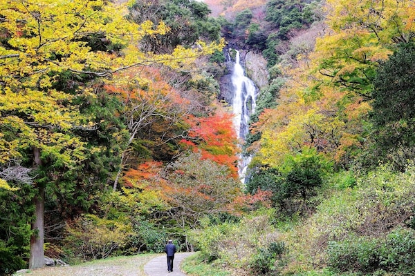 【自然景觀】日本百景與瀑布百選的岡山賞楓名勝｜神庭瀑布