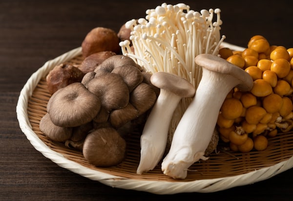 日本的菌菇