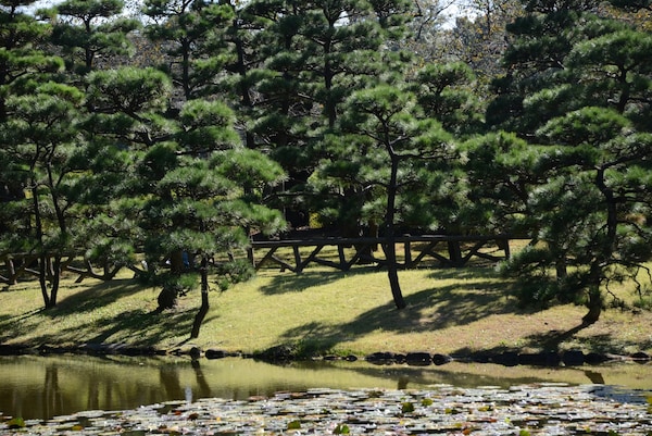 Other Points of Interest: Jindai Botanical Gardens
