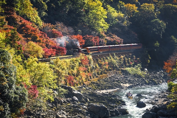 7. รถไฟซากะโนะ (Sagano Romantic Train: 嵯峨野トロッコ)