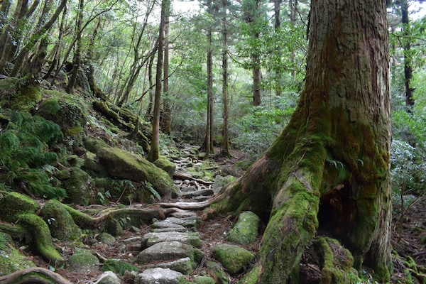 Yakushima