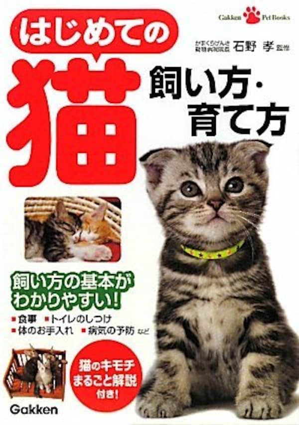 はじめての猫　飼い方・育て方