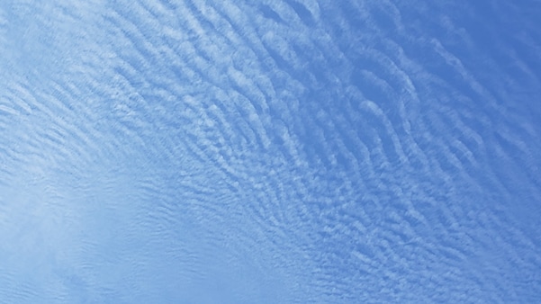 ナミナミとした形の「波状雲」（2020年11月26日東京都内で撮影）