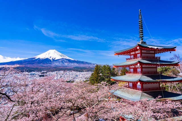 タイ人に絶大な人気を誇る「富士山」